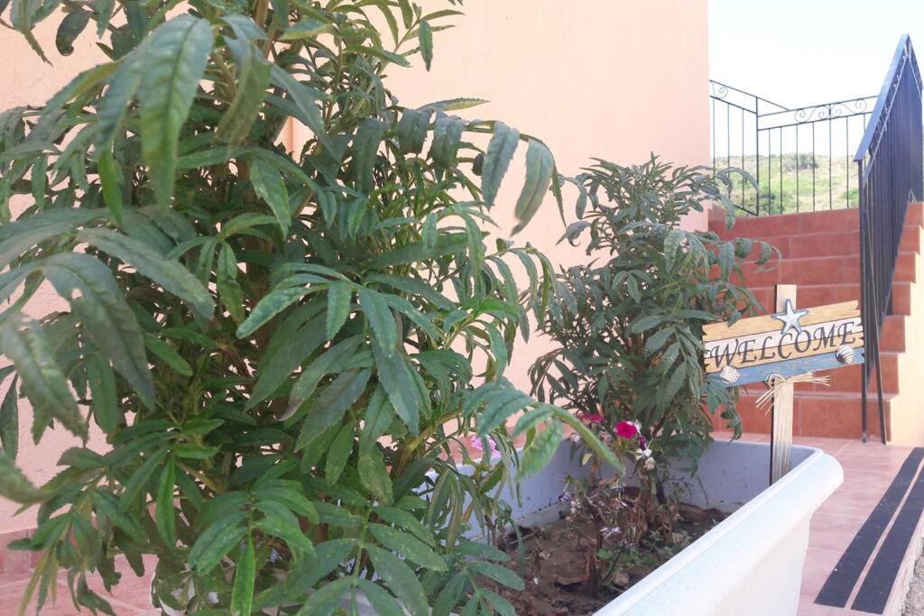 Rodanthy III Katelios Exterior foto